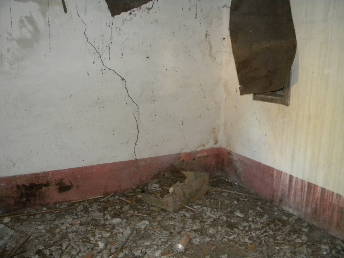 DSCN8009 .JPG